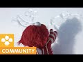 ボーナス映像：エルモからクッキーモンスターにメッセージの雪絵