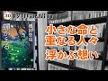 【30秒小説動画】#蝉かえる【#ミステリ】