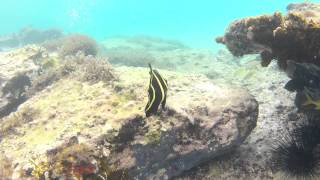 St Kitts January 2013