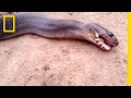 មេរៀននិងផ្នែកនៃវីដេអូ