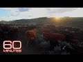 Riding along on the Green River Drift, the longest-running cattle drive left in America