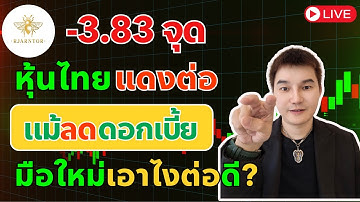 สอนเล่นหุ้น มือใหม่ -3.83จุด🔥หุ้นไทยแดงต่อ แม้ ลดดอกเบี้ย มือใหม่เอาไงต่อดี?!