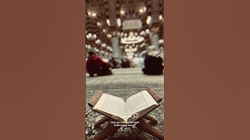قران كريم للقارئ الشيخ ياسر الدوسري #قرآن #ياسر_الدوسري #تلاوة_خاشعة