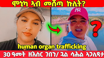 ⭕️ሞኒካ ኣብ መሸጣ ኩሊት? ናብ ሕጊ/30 ዓመት ዘእስር ገበን/ ጓል ሳሕል ኣጋሊጻታ⭕️ #eritreanmovie2025 #eritreanfilm2025