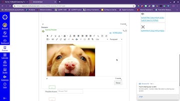 Using Images, Equations, Scientific Notation, and More in Canvas Multiple Choice Answer Options