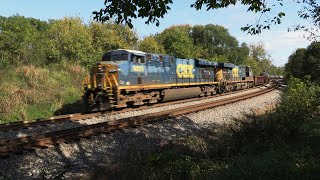 [4K] 10/11 CSX B768 empty tanker train westbound at Shen JCT WV #viral #video #shorts #short #train