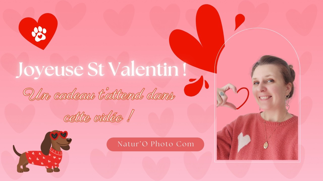 💘 TON CADEAU DE LA SAINT VALENTIN ❤️🩷❤️