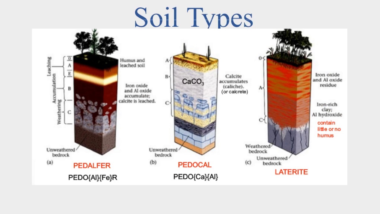 5 0 Weathering Soil And Mass Movements Video YouTube 5 0 Weathering Soil And Mass Movements Video YouTube