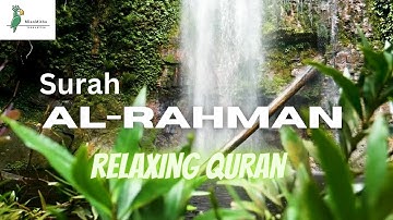 Relaxing reading Quran to the sound of rain | Surah 55 Ar-Rahman | Omar Hisham | 2023