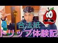 イワクーのトリップ体験記【合法紙】