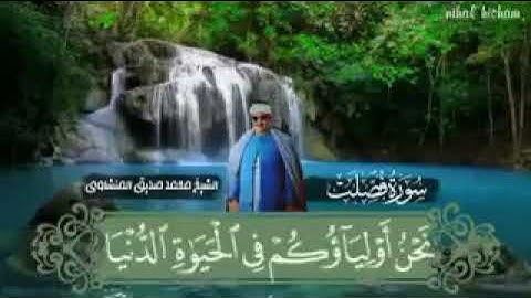 الشيخ... محمد صديق المنشاوي... ما تيسر من سورة فصلت