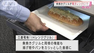 レンジ＋グリル？　これでキッチンスペースを節約(2020年11月13日)