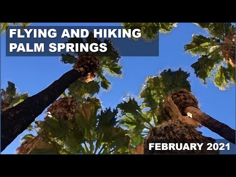 Video: Hvilke flyselskaber flyver ind og ud af Palm Springs Lufthavn?