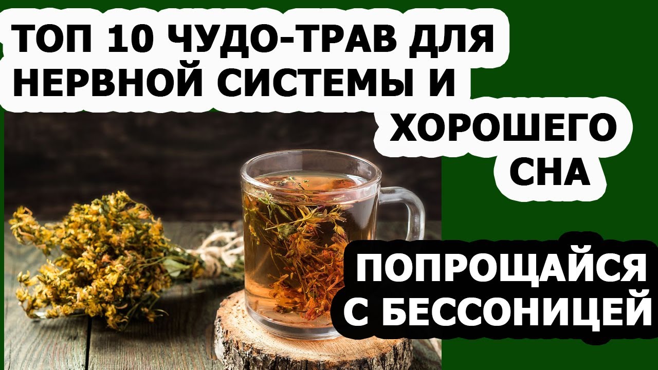 Лекарственные травы для нервной системы и хорошего сна Бессоница