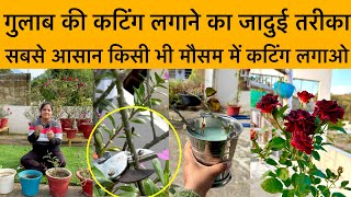 🔴गुलाब की कटिंग लगाने का जादुई तरीका|How to grow Rose Plant From Cuttings|Grow Roses From Cuttings by Nature lover Vinno 22,595 views 9 months ago 13 minutes, 29 seconds