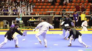 2018 Jeju World Taekwondo Hanmadang，Team Competition Domestic Senior Pre 8，전주대학교 全州大学，PUPPET，injured