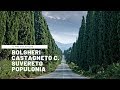 🚴In bici tra Bolgheri e Populonia