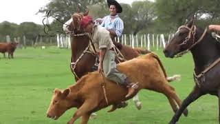 Destrezas campera Ombu Entre Ríos #Fiestacriolla #Gineteada #Pialadas #Rodeo #Jaripeo
