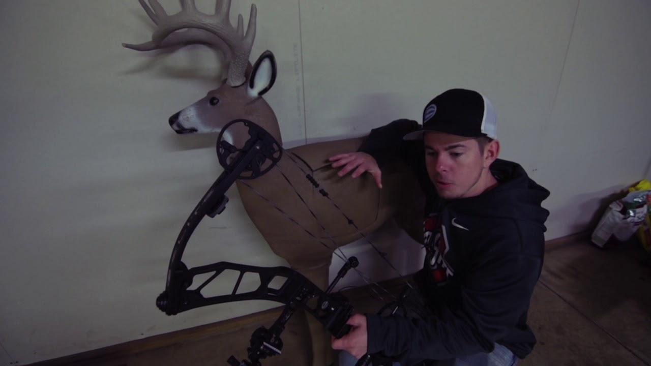 glendel-3d-buck-target-review-youtube