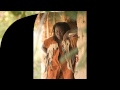 Mrisho Mpoto - Nikipata Nauli (Official Song) - Waite Mp3 Song