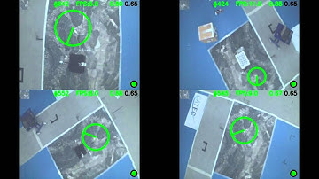 Fast Online Learning and Detection of Natural Landmarks for Autonomous Aerial Robots
