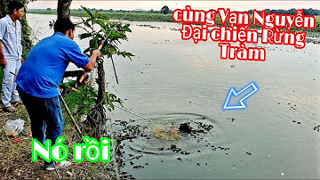 RỒI DÍNH RỒI, QUÁI THÚ RỒI, CÂU CÁ RỪNG TRÀM CÙNG VẠN NGUYỄN - FISHING