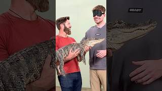 Video thumb