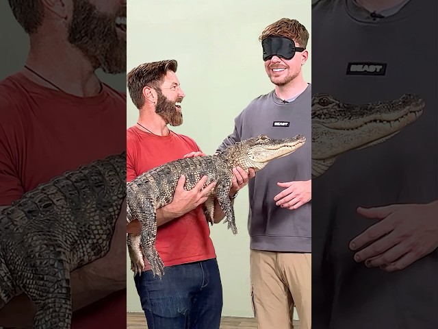 Guess The Animal Video Thumbnail