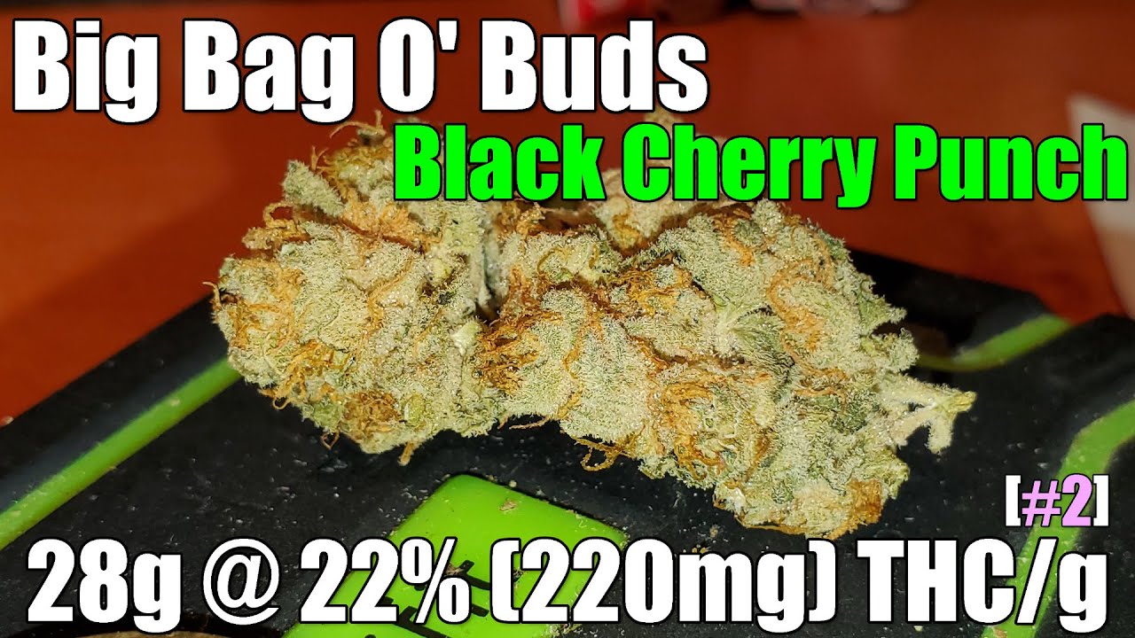Big Bag o' Buds Black Cherry Punch Review 28g 22 (220mg) THC/g