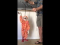 Simple marionette movement tutorial.  THEPUPPETMAN.com