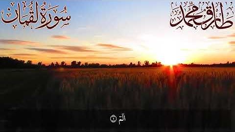 سوره لقمان تلاوه طيبه للقارئ طارق محمد