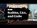 Scabies, Lice & Crabs: A Study Guide (Part 1) | Sketchy Medical | USMLE Step 1