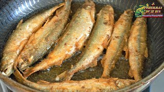 I will only fry fish this way, I found the best way, fry smelt, the secret is breaded and .....?