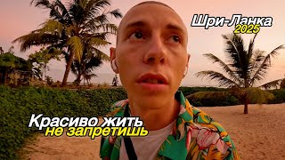 видео: ШРИ ЛАНКА: КРАСИВО ЖИТЬ НЕ ЗАПРЕТИШЬ! 2025 картинка: ШРИ ЛАНКА: КРАСИВО ЖИТЬ НЕ ЗАПРЕТИШЬ! 2025