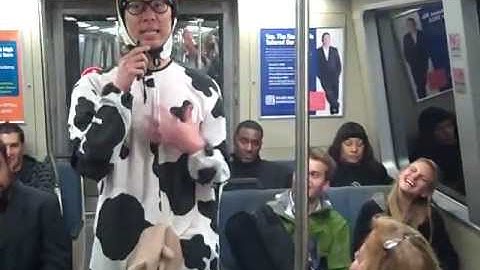 Cow