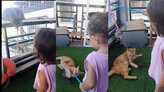 Unexpected Reactions About cats playing with baby| My Cats playing with my niece baby Yhunna by Cats Life PH 191 views 2 months ago 1 minute, 43 seconds