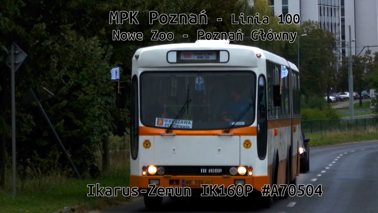MPK Poznań - Ikarus-Zemun IK160P #A70504 - Linia 100