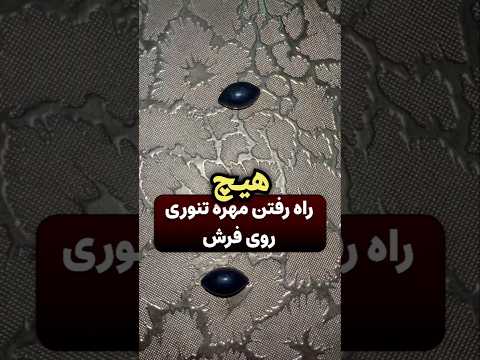 دعای مهره مار جفتگیری مار و انداختن مهره مار پرورشی که نطفه مار بهش میگن نطفه مار مهره مار