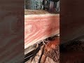 wood splitting sawmill machine process  #shorts