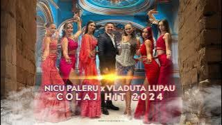 Colaj Hituri 2024 -2025 ❌Nicu Paleru❌ Vladuta Lupau❌ Vali Vijelie❌ Baboiash❌