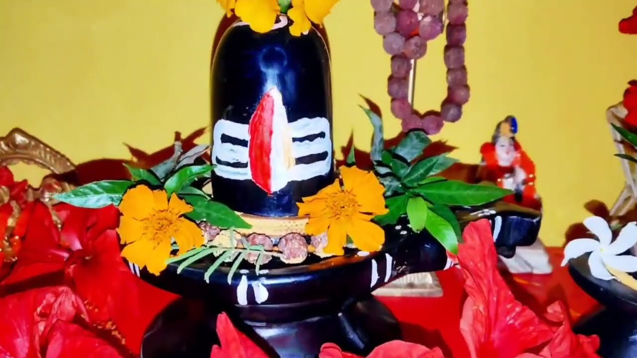 07 मार्च शनिवार पंचमी तिथि 1 सिक्का इस जगह रख दें,धन की कमी खत्म उपाय,#pradeepmishrajiupay#shivupay 