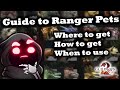 Guide to Ranger Pets - Where to Get, How to Get, and When to Use Them - Guild Wars 2