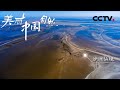 【ENG】地球留给人类的最美遗产地 盐城湿地堪称“沙洲仙境”《美丽中国自然》江苏盐城系列【CCTV纪录】