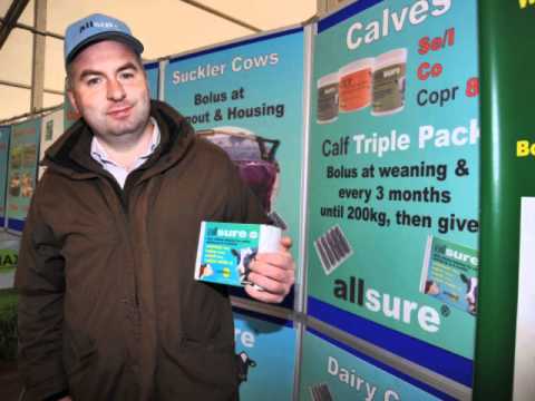 Belgian Blue cattle breeder talks about Allsure