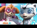 PAW Patrol &amp; Cat Pack Rescue a Construction Worker! w/ Skye &amp; Rory | Nick Jr.