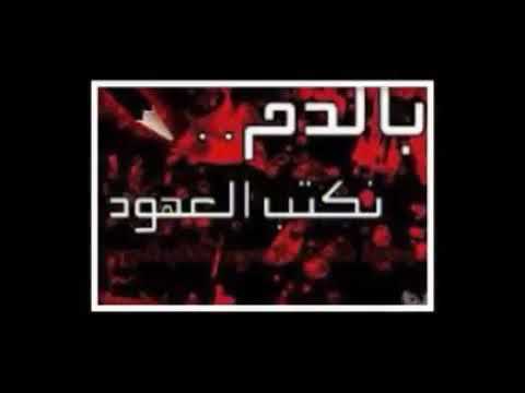انا مصرى ودمى فلسطينى هانى شاكر