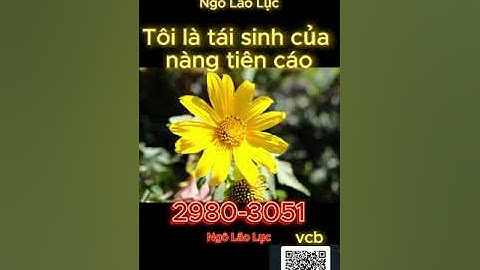 [TỔNG HỢP FULL] Tôi là tái sinh của nàng tiên cáo 2980-3051