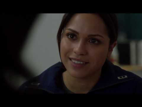 ჩიკაგოს მეხანძრეები Chicago Fire