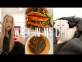 VLOG: Birria Tacos, THE M JEWELERs Haul, and More!