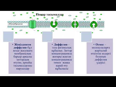 Биология 10 сынып ҚГБ  Пассивті және активті тасымалдау механизмі